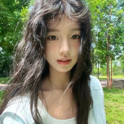山茶花飘零